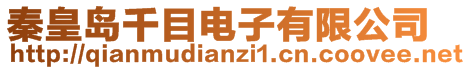 秦皇島千目電子有限公司