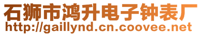 石獅市鴻升電子鐘表廠