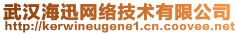 武漢海迅網(wǎng)絡(luò)技術(shù)有限公司