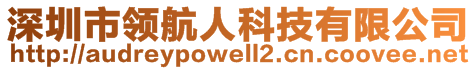 深圳市領航人科技有限公司