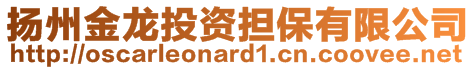 揚州金龍投資擔(dān)保有限公司