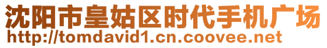 沈陽市皇姑區(qū)時(shí)代手機(jī)廣場(chǎng)