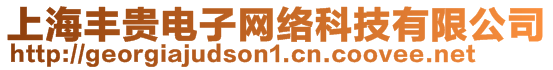 上海豐貴電子網絡科技有限公司