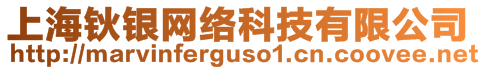 上海鈥銀網(wǎng)絡(luò)科技有限公司