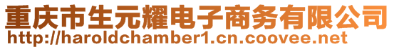 重庆市生元耀电子商务有限公司