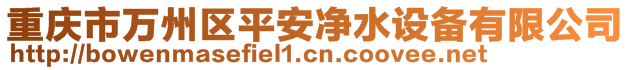 重慶市萬州區(qū)平安凈水設(shè)備有限公司