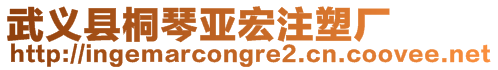 武義縣桐琴亞宏注塑廠