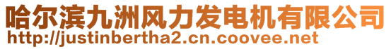 哈爾濱九洲風(fēng)力發(fā)電機(jī)有限公司