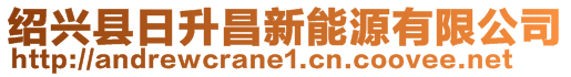 紹興縣日升昌新能源有限公司