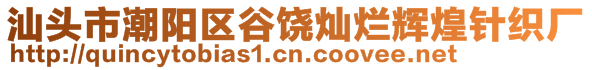 汕头市潮阳区谷饶灿烂辉煌针织厂