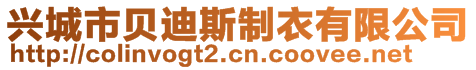 兴城市贝迪斯制衣有限公司