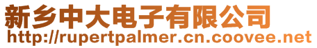 新鄉中大電子有限公司