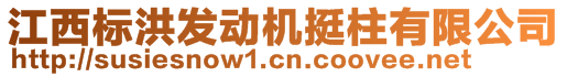 江西標(biāo)洪發(fā)動(dòng)機(jī)挺柱有限公司