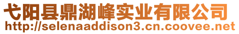 弋陽(yáng)縣鼎湖峰實(shí)業(yè)有限公司