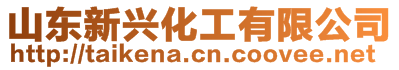 山東新興化工有限公司