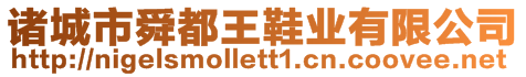 諸城市舜都王鞋業(yè)有限公司