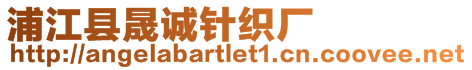 浦江縣晟誠針織廠