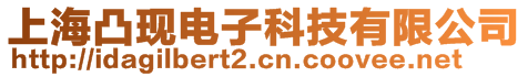 上海凸現電子科技有限公司