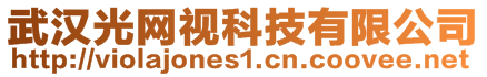 武漢光網(wǎng)視科技有限公司