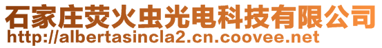 石家莊熒火蟲光電科技有限公司