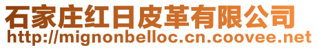 石家莊紅日皮革有限公司