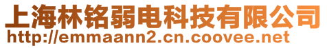 上海林铭弱电科技有限公司