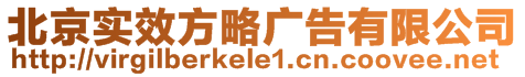 北京實效方略廣告有限公司