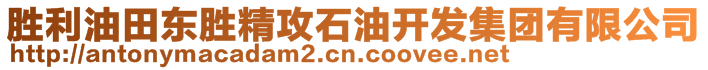 勝利油田東勝精攻石油開發(fā)集團(tuán)有限公司