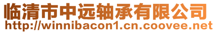 臨清市中遠軸承有限公司