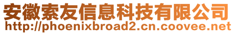 安徽索友信息科技有限公司