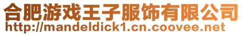 合肥游戲王子服飾有限公司