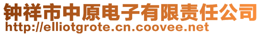 鐘祥市中原電子有限責任公司