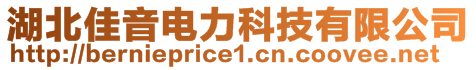 湖北佳音電力科技有限公司