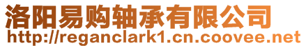 洛陽(yáng)易購(gòu)軸承有限公司