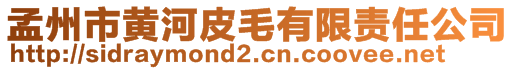 孟州市黃河皮毛有限責(zé)任公司