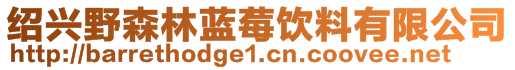 紹興野森林藍(lán)莓飲料有限公司