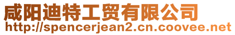 咸陽迪特工貿有限公司