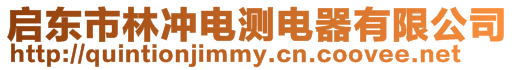 啟東市林沖電測電器有限公司
