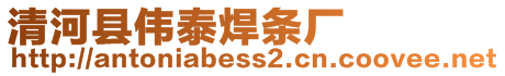 清河縣偉泰焊條廠