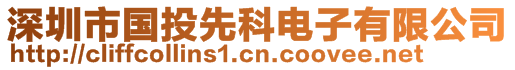 深圳市國投先科電子有限公司
