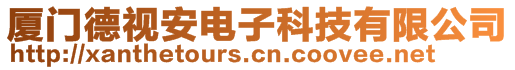 厦门德视安电子科技有限公司