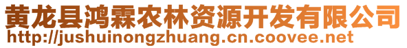 黃龍縣鴻霖農林資源開發有限公司
