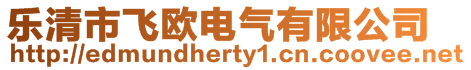 樂清市飛歐電氣有限公司