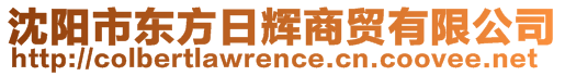 沈陽市東方日輝商貿(mào)有限公司