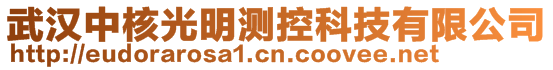 武漢中核光明測控科技有限公司