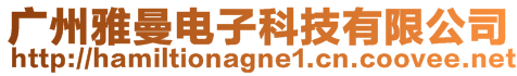 廣州雅曼電子科技有限公司