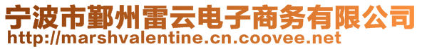 宁波市鄞州雷云电子商务有限公司