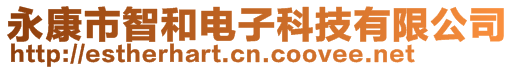 永康市智和電子科技有限公司