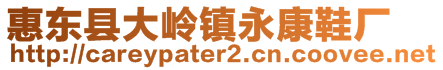 惠东县大岭镇永康鞋厂