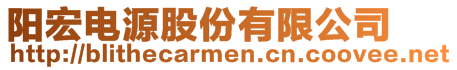 陽宏電源股份有限公司